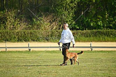 Bailo de la frisone liberte