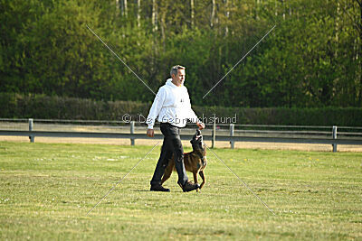 Bailo de la frisone liberte