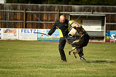 Baldo von der roten Zora
