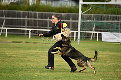 Baldo von der roten Zora