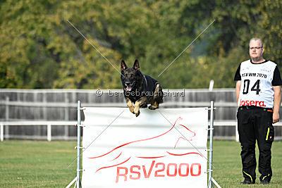 Baldo von der roten Zora