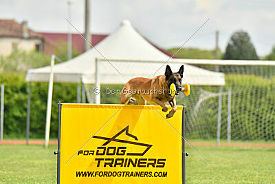 Baldur Force of Destiny