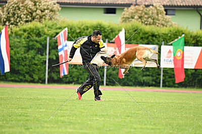 Baldur Force of Destiny