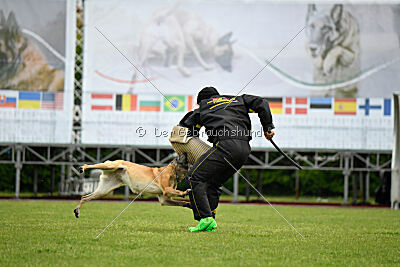 Bali vom Mittelpunkt