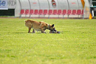 Bali vom Mittelpunkt