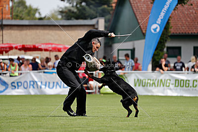 Bambam von den Wichtelhäusern