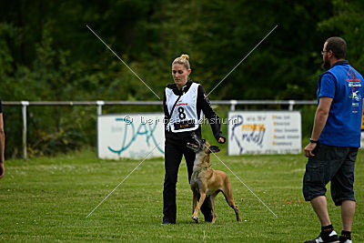 Bambuca von der schwarzen Mamba