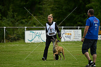 Bambuca von der schwarzen Mamba