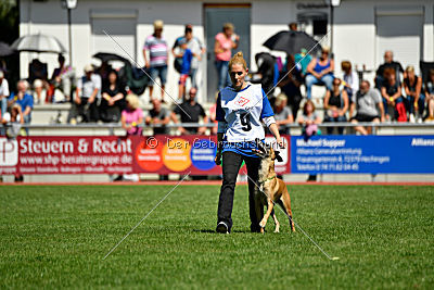 Bambuca von der schwarzen Mamba