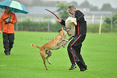 Banda Los Valientes Arturo