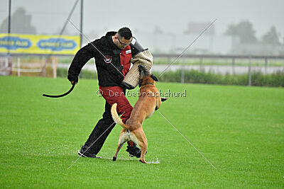 Banda Los Valientes Arturo