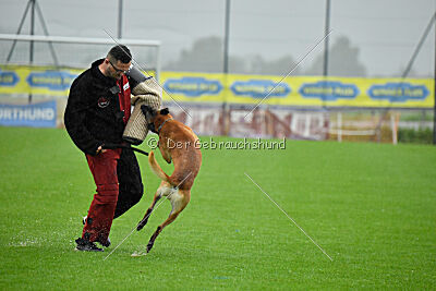 Banda Los Valientes Arturo