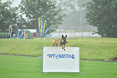 Banda Los Valientes Arturo
