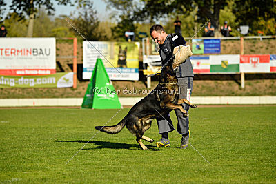 Bandit vom Steinsaal