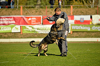 Bandit vom Steinsaal