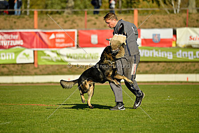 Bandit vom Steinsaal