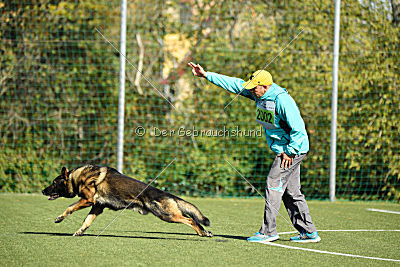 Bandit vom Steinsaal