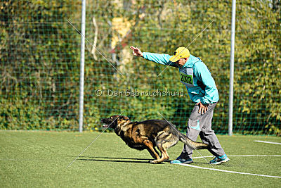 Bandit vom Steinsaal