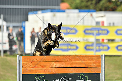 Bandit vom Steinsaal