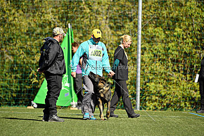 Bandit vom Steinsaal