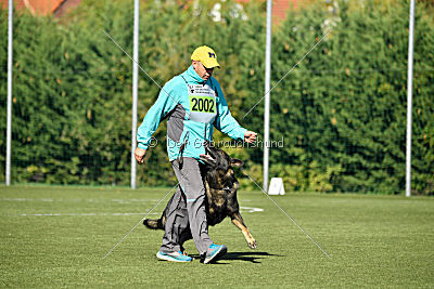 Bandit vom Steinsaal