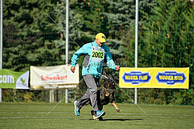 Bandit vom Steinsaal