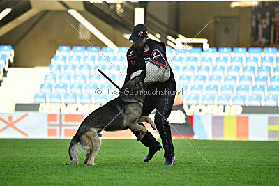 Bandit von Spürsinn