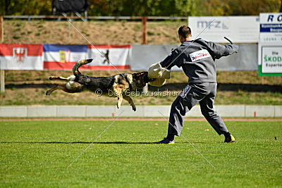 Banu vom Team Nordsturm