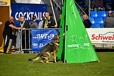 Banu vom Team Nordsturm