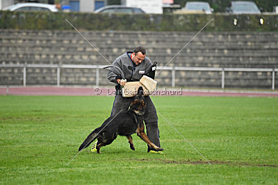 Barack von den Bleicheröder Bergen