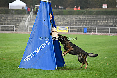 Barack von den Bleicheröder Bergen
