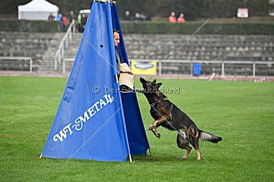 Barack von den Bleicheröder Bergen