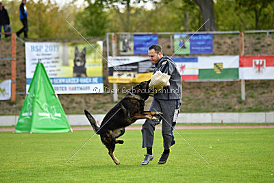 Barack von den Bleicheröder Bergen