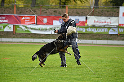 Barack von den Bleicheröder Bergen
