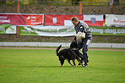 Barack von den Bleicheröder Bergen