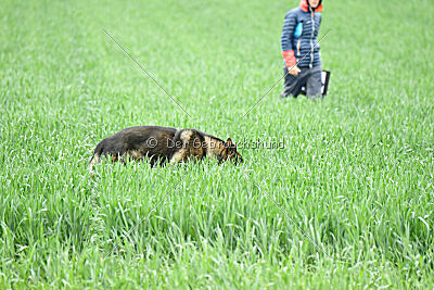 Barack von den Bleichröder Bergen