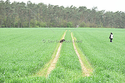 Barack von den Bleichröder Bergen