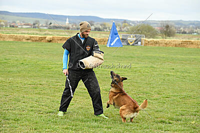 Barbarian Life Begins