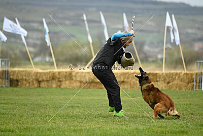 Barbarian Life Begins