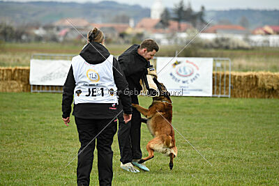 Barbarian Life Begins