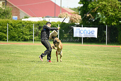 Barberian Life Begins