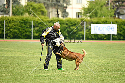 Barberian Life Begins