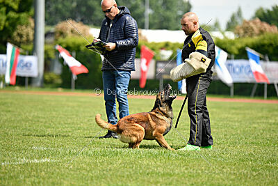 Barberian Life Begins