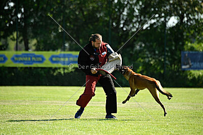 Baron de la frisone liberte