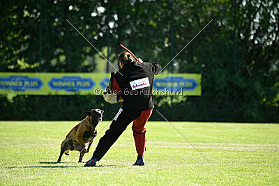 Baron de la frisone liberte