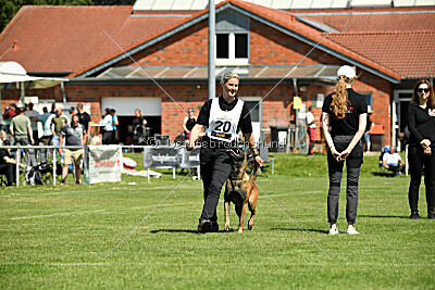 Baron de la frisone liberte