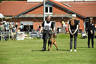 Baron de la frisone liberte