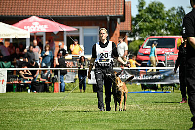 Baron de la frisone liberte