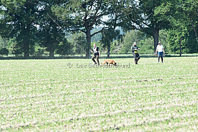 Baron de la frisone liberte