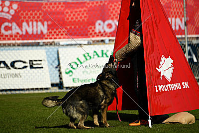 Baron von der tiefen Quelle